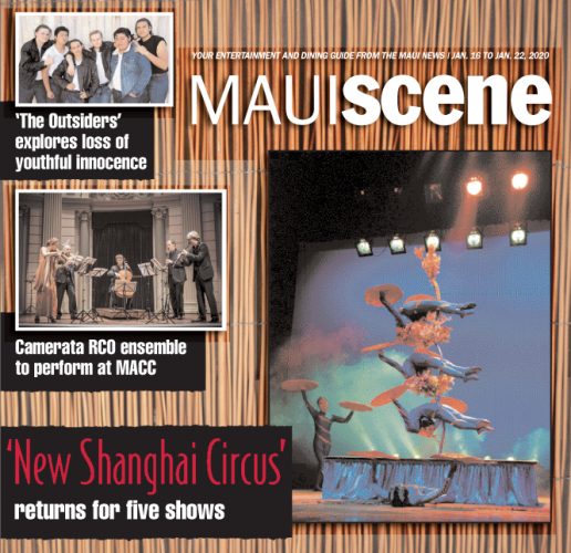 Maui Scene